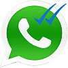 Imagen de noticia: Lo que debes saber acerca del Doble Check de Whatsapp